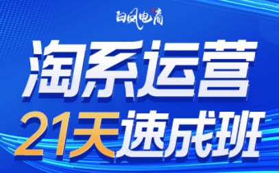 白凤电商·淘系运营21天速成班(更新3月)