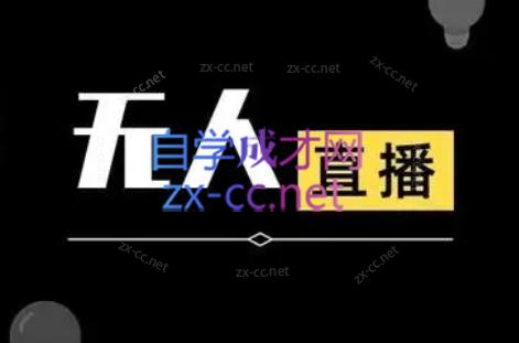 宝子哥·无人直播-非实时防风技术(更新12月)