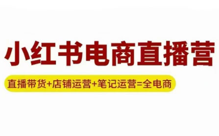 申铭老师·小红书电商直播营(更新)