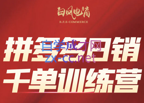 白凤电商·拼多多日销千单训练营(更新8月)