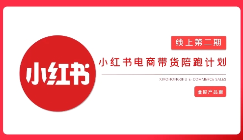 2025小红书虚拟电商实战课
