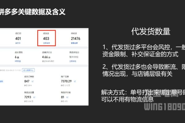 纪主任·拼多多年费会员(更新2025年1月)