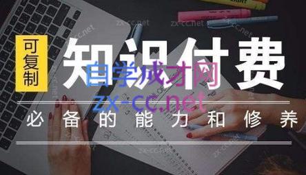 君哥·IP合伙人知识付费虚拟项目(更新24年6月)