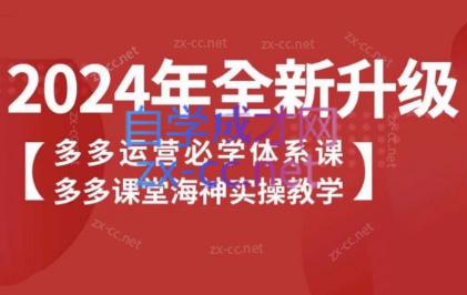 海神老师·拼多多运营必学体系课